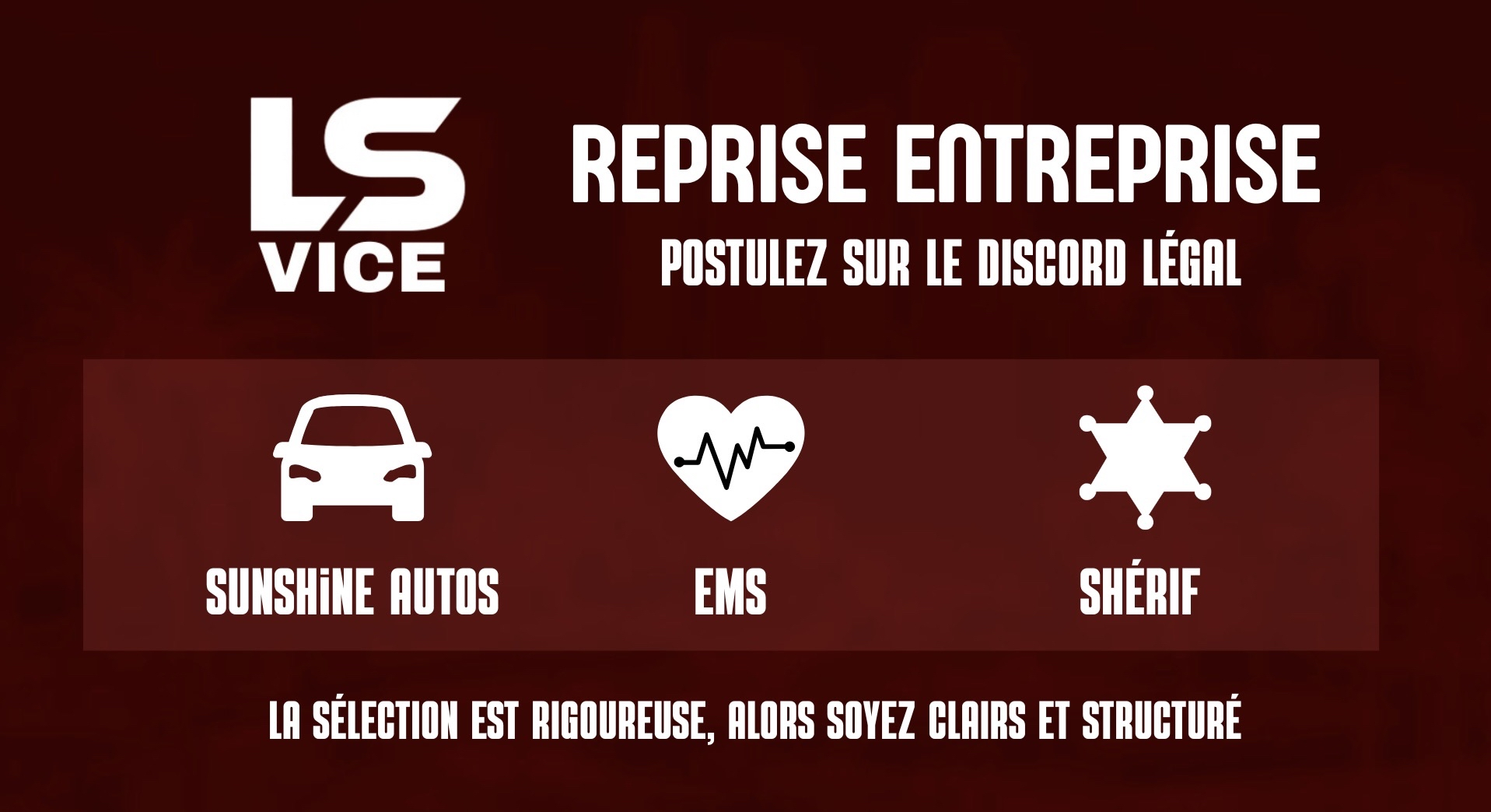 LS VICE - Entreprises